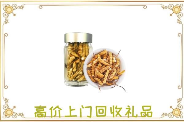 郑州市周边回收虫草